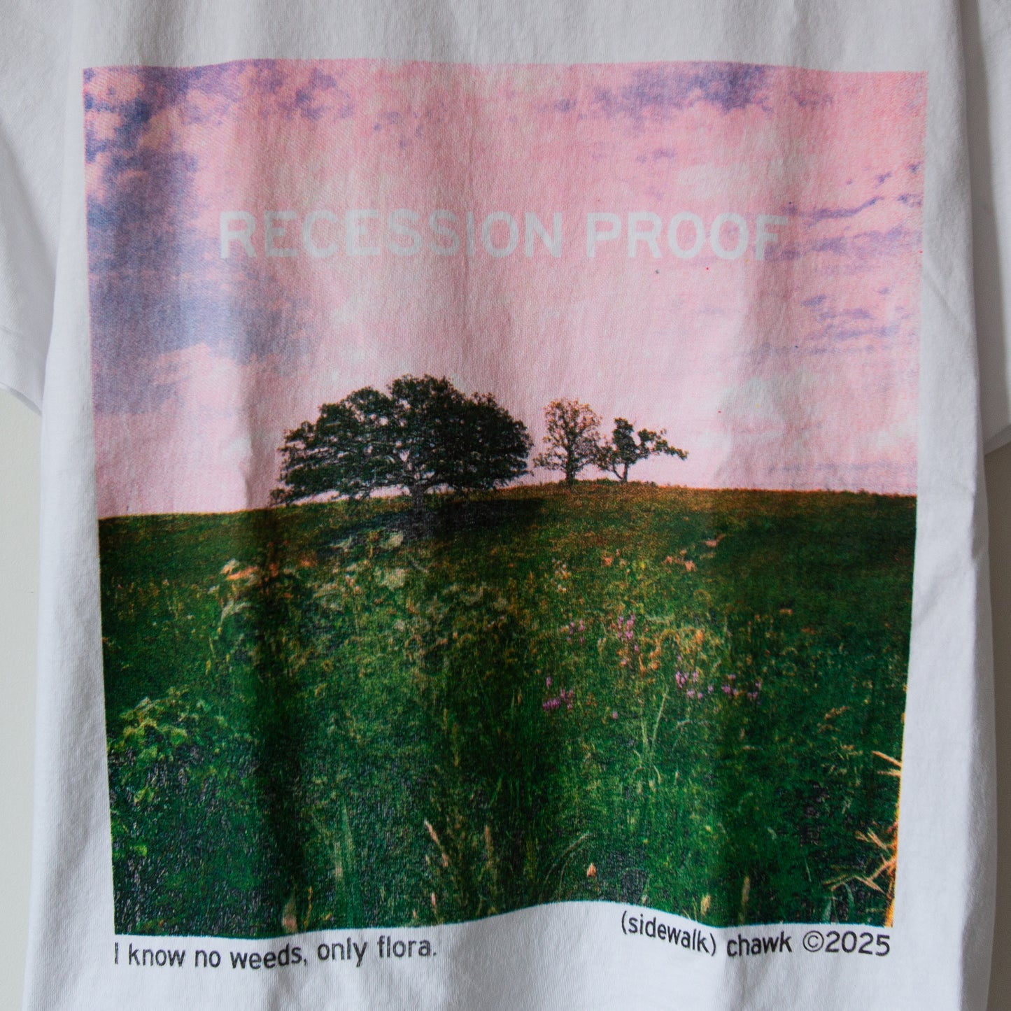 RECESSION PROOF heavyweight t-shirt