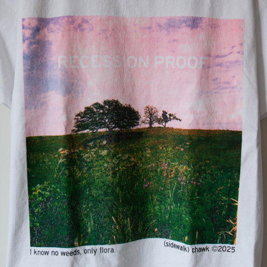 RECESSION PROOF heavyweight t-shirt