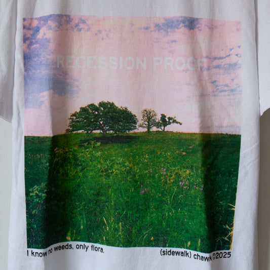 RECESSION PROOF t-shirt