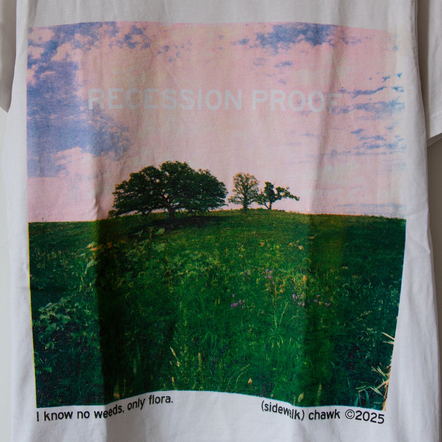 RECESSION PROOF, sz M