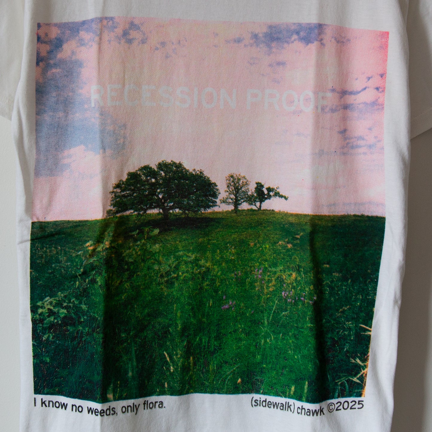 RECESSION PROOF, sz M