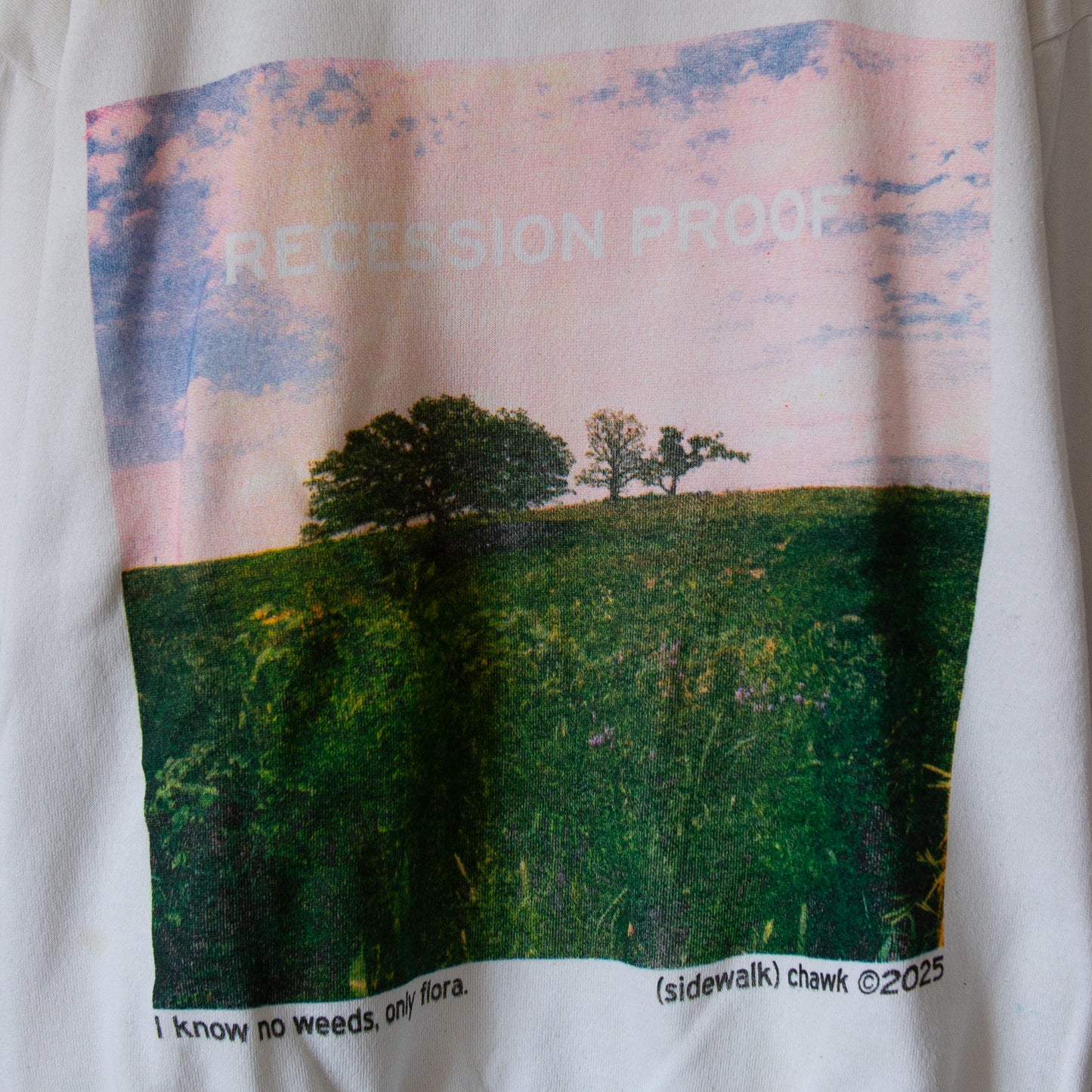 RECESSION PROOF, sz L