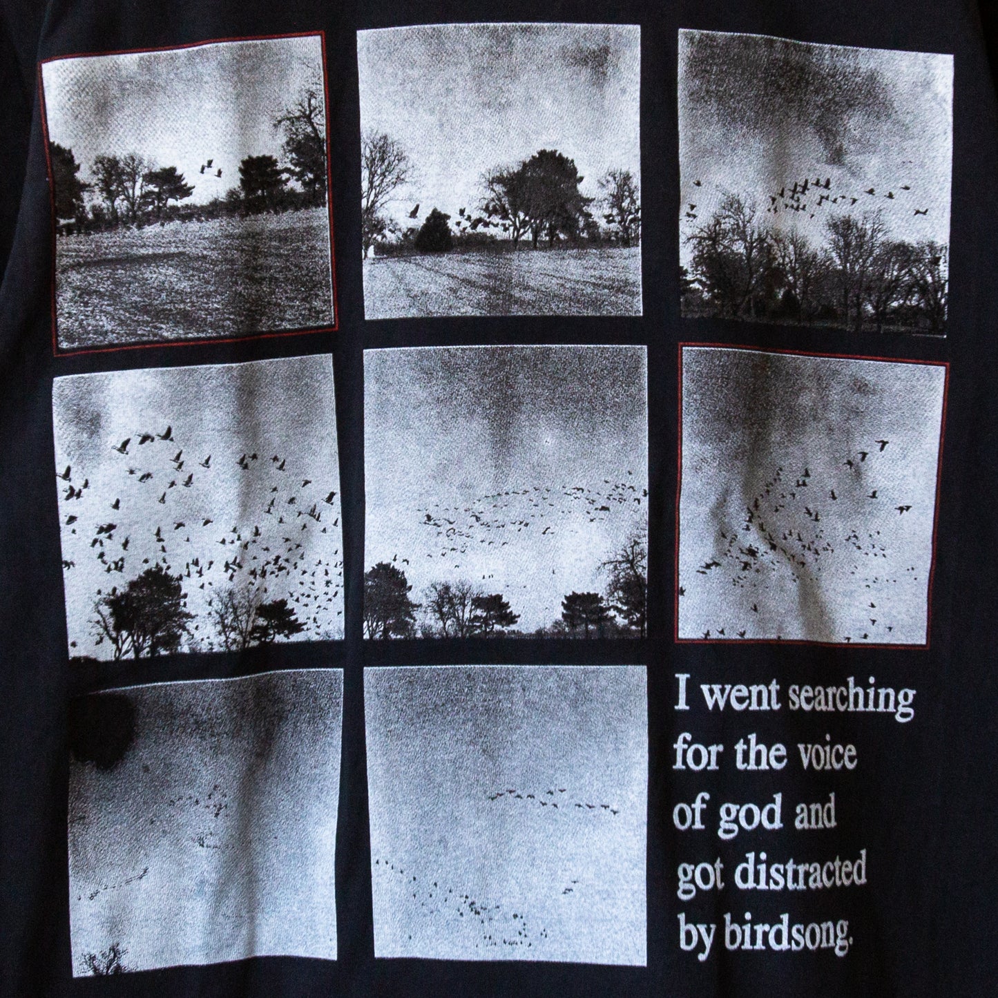 BIRDSONG t-shirt