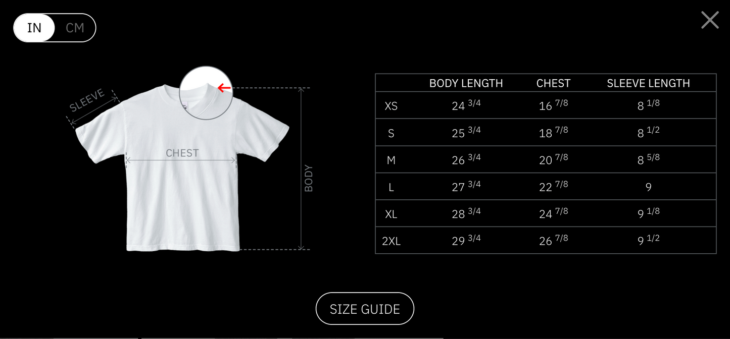 RECESSION PROOF heavyweight t-shirt